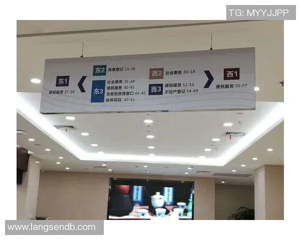 杭州乒乓球队转型纪实:从传统到现代的奋斗与蜕变之路