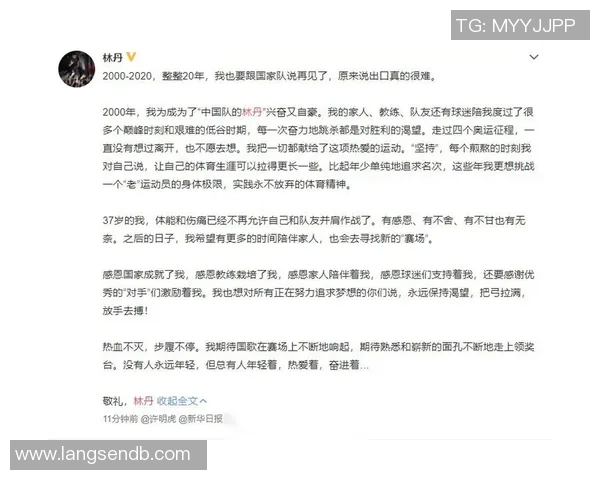 武汉羽毛球队世锦赛征程回顾与突破成就的深度分析